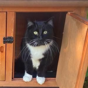 Meet your Posher, Lisa